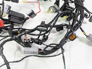 2024 Triumph Street Triple 765 R Main Wiring Harness Loom - No Cuts T2509765