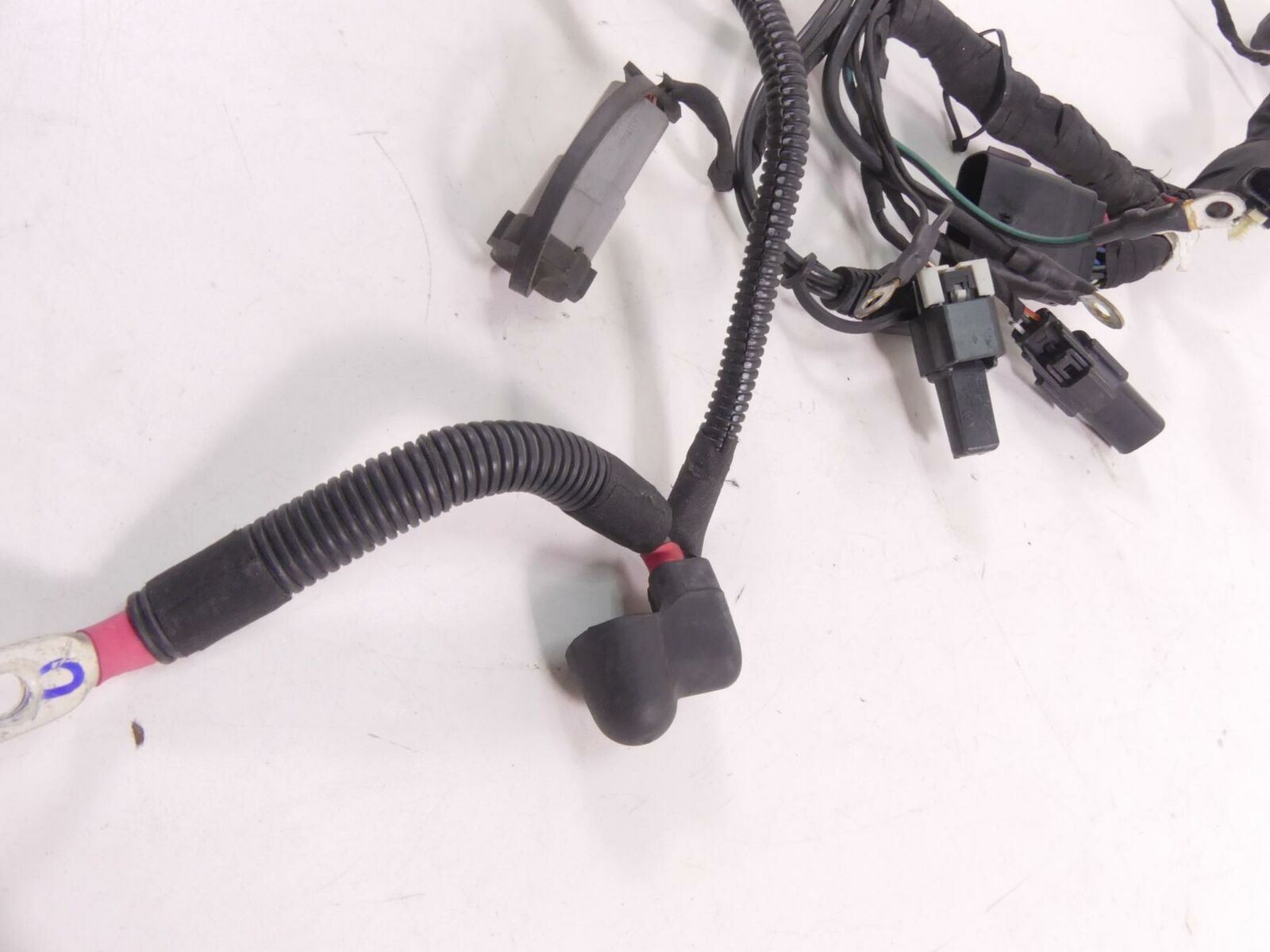 2019 Harley FXLR Softail Low Rider Main Wiring Harness Loom - No ABS 69201493 {{ shop.shopifyCountryName }} - Mototech271