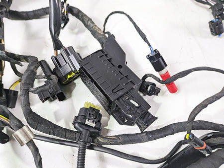 2015 BMW R1200GS Adv K51 Main & Engine Wiring Harness READ 61118549371 {{ shop.shopifyCountryName }} - Mototech271