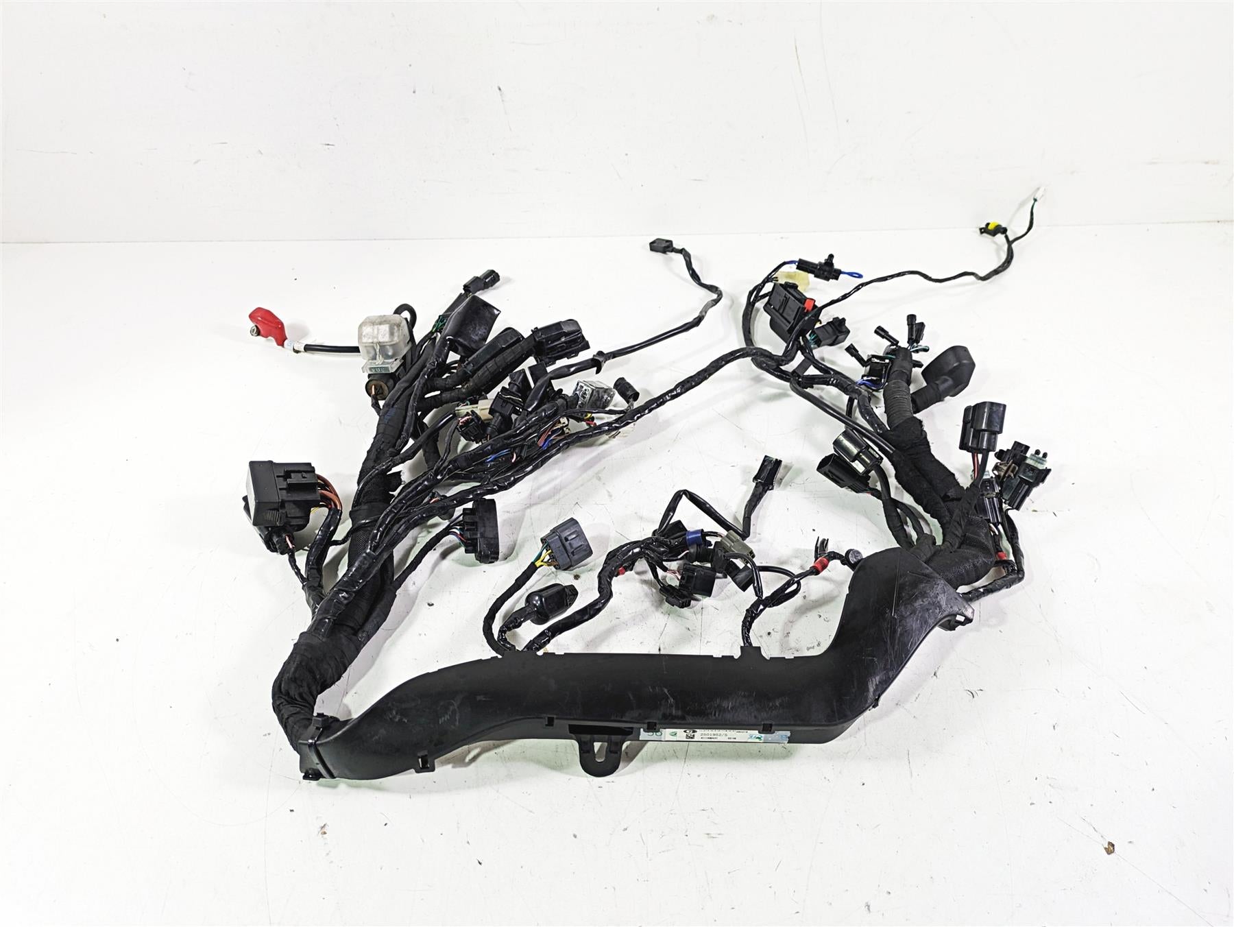 2020 Triumph Street Scrambler 900 Wiring Harness Loom No Cuts T2501952