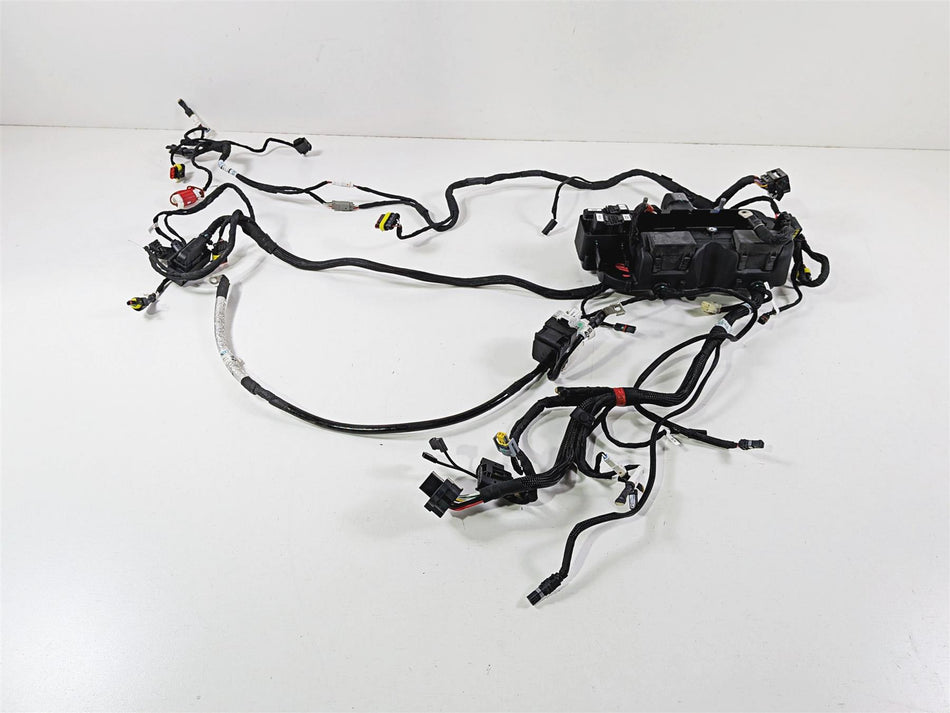 2023 Ducati Streetfighter V4 Main Wiring Harness Loom - No Cuts 5101M271B-Mototech271