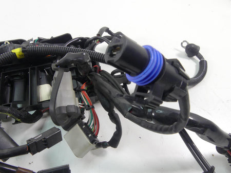 2020 Harley Sportster XL1200 NS Iron Main Wiring Harness Loom - No Abs 69200072B {{ shop.shopifyCountryName }} - Mototech271