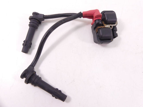 2017 Polaris RZR1000 XP EPS Ignition Coils 4010425 & 2876049 | Mototech271