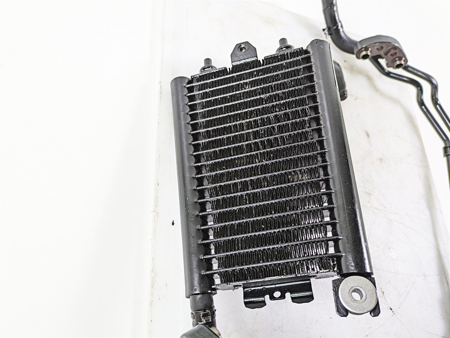 2019 Harley Softail FXDR 114 Oil Cooler & Lines Set 62700191 {{ shop.shopifyCountryName }} - Mototech271