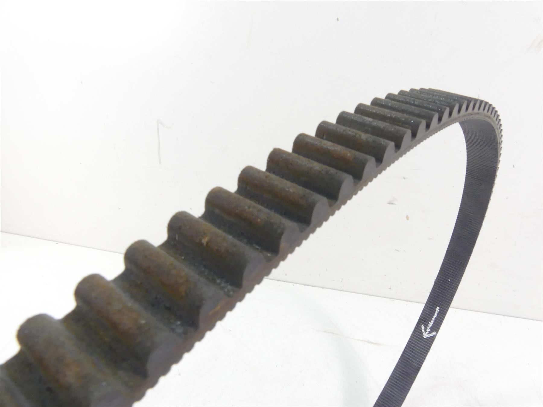 2005 Harley Softail FLSTSC Heritage Springer Rear Drive Belt 135T 40307-00B {{ shop.shopifyCountryName }} - Mototech271