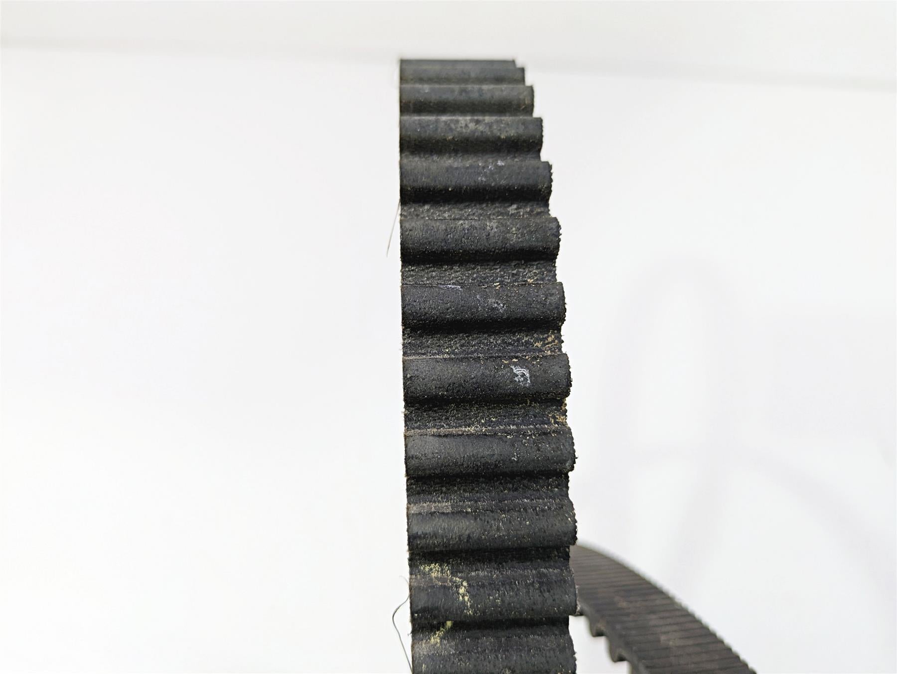 2024 Harley Sportster RH975 S Rear Drive Belt 178 Teeth 40000026 {{ shop.shopifyCountryName }} - Mototech271
