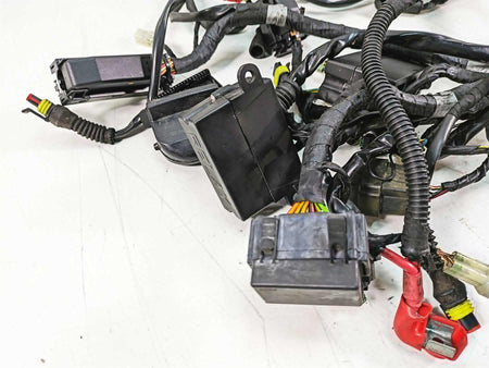 2014 Moto Guzzi California 1400 T Main Wiring Harness Loom - No Cut 2D000190 {{ shop.shopifyCountryName }} - Mototech271