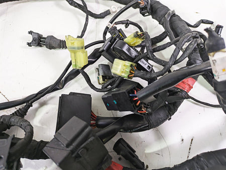 2017 Ducati Monster 1200 S Main Wiring Harness Loom No Cuts 5101B291C {{ shop.shopifyCountryName }} - Mototech271