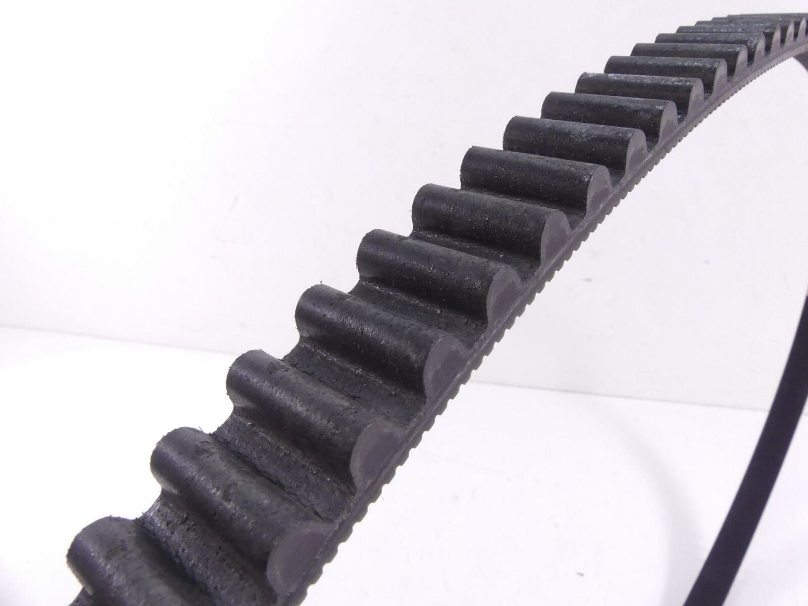 2009 Harley FXDF Dyna Fat Bob Drive Belt 131T 1" 40046-07 {{ shop.shopifyCountryName }} - Mototech271