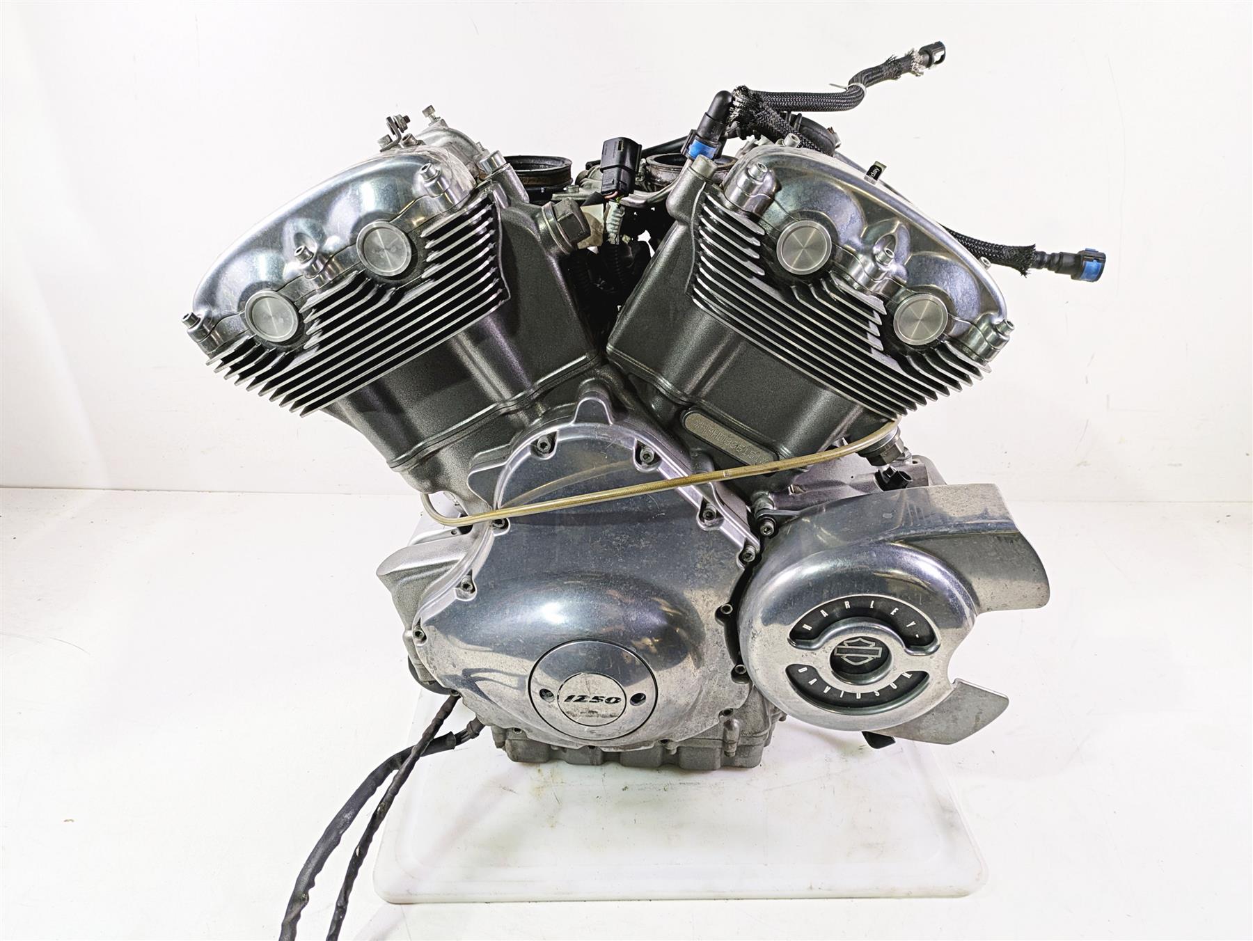 2013 Harley VRSCF Muscle Rod Running 1250cc Engine Motor 29k - Video 19974-17K {{ shop.shopifyCountryName }} - Mototech271
