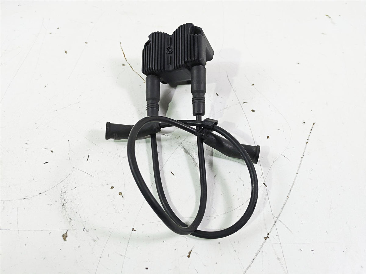 2003 Harley Touring FLHTCUI E-Glide 100th Ignition Coil Wires Plugs 31743-01 {{ shop.shopifyCountryName }} - Mototech271