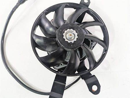 2009 Yamaha FZ1 FZS10 Fazer Left Hand Denso Radiator Cooling Fan 2D1-12405-01 {{ shop.shopifyCountryName }} - Mototech271