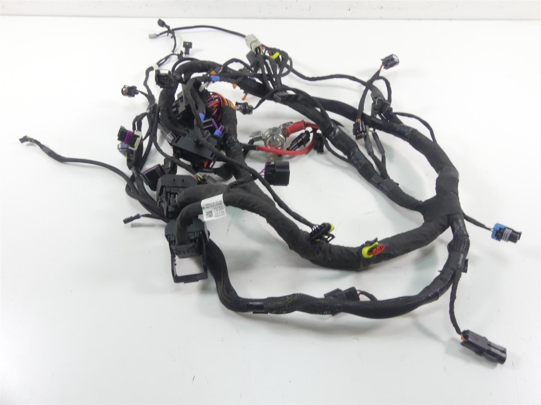2022 Indian FTR1200 S Main Wiring Harness Loom - No Cuts 2415580 2415446 | Mototech271