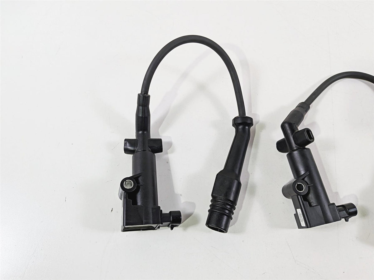2020 Indian Challenger Limited Oem Delphi Ignition Coil Set 4015300-Mototech271