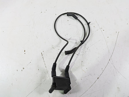 2016 Harley Touring FLTRX Road Glide Ignition Coil & Wires Set Delphi 31696-07A {{ shop.shopifyCountryName }} - Mototech271