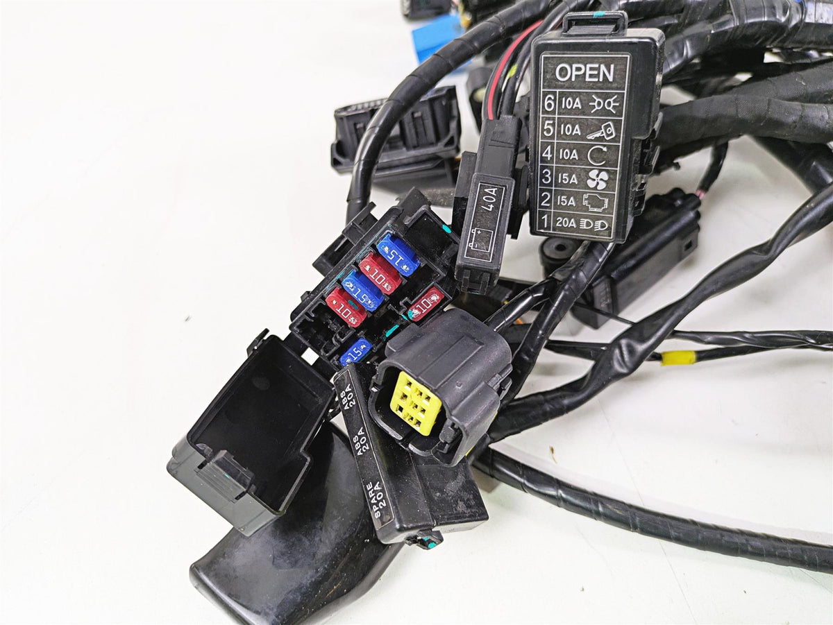 2013 Triumph Tiger 1215 Explorer Wiring Harness Loom - No Cuts T2501095 {{ shop.shopifyCountryName }} - Mototech271