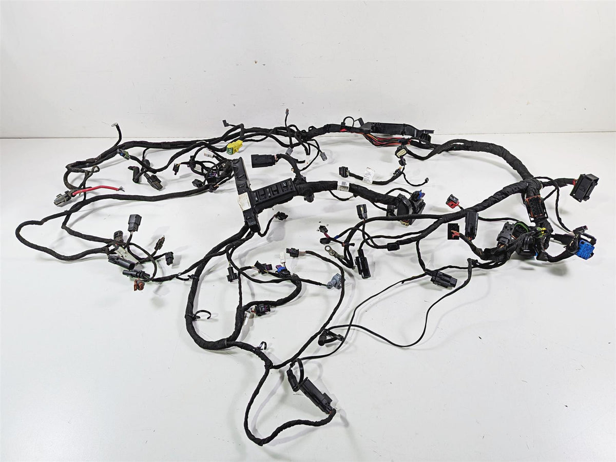 2023 Harley Adv RA1250 S Pan America Wiring Harness Loom FOR PARTS 69202185B {{ shop.shopifyCountryName }} - Mototech271