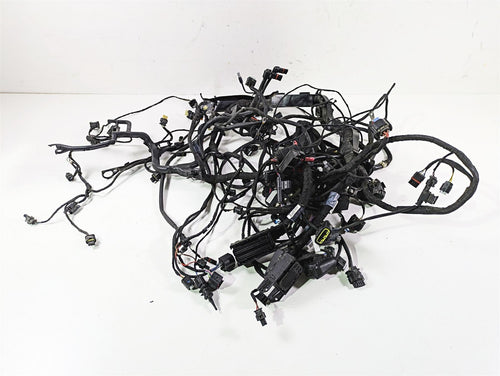 2019 BMW R1250RT K52 Main & Engine Wiring Harness Esa - Read 61119480817 | Mototech271