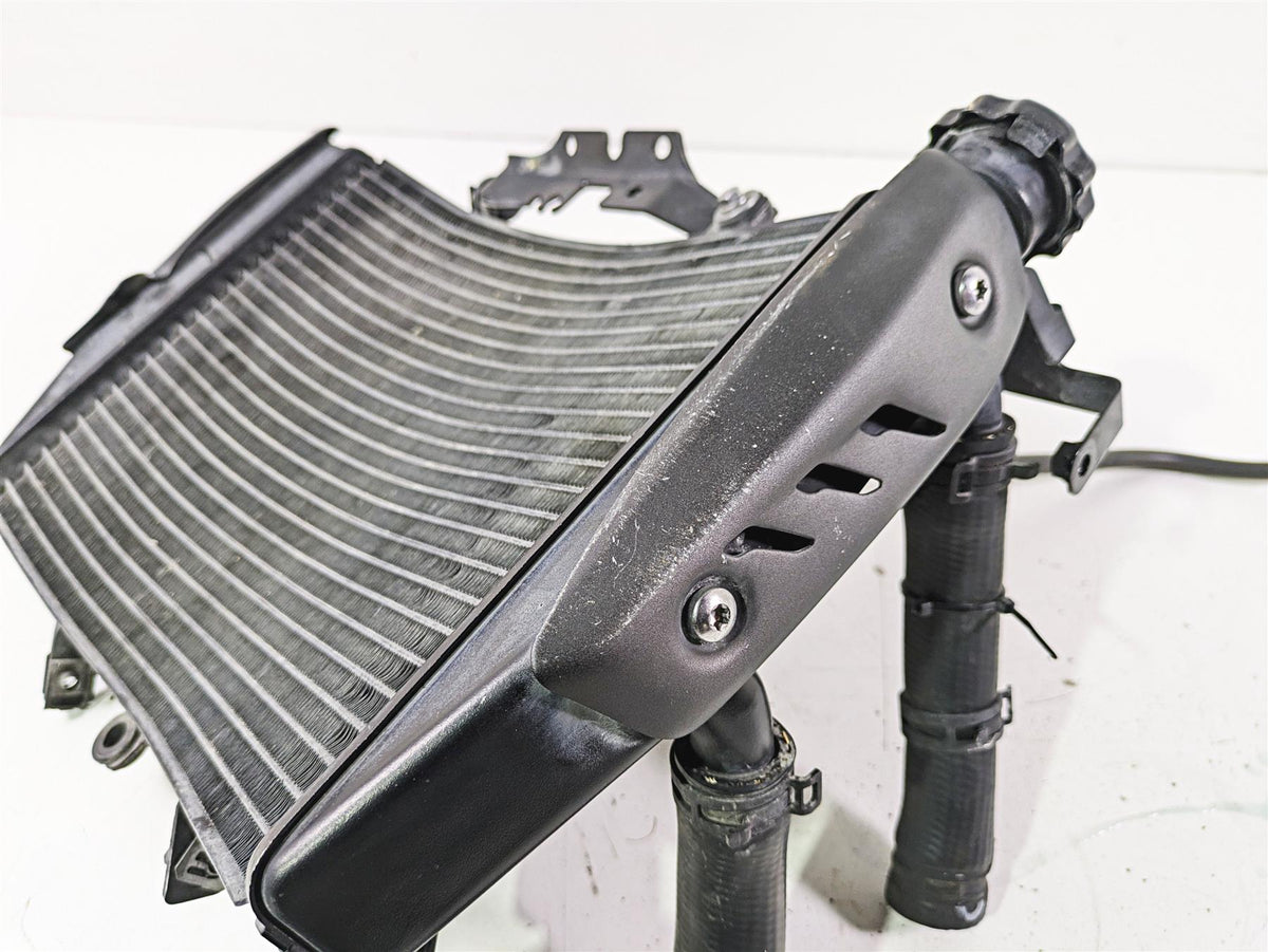 2019 Triumph Speed Triple RS 1050 Radiator Fan Reservoir Hoses Set T2100683 {{ shop.shopifyCountryName }} - Mototech271