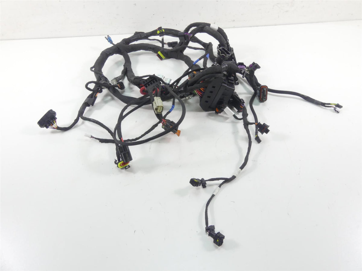 2022 Indian FTR1200 S Main Wiring Harness Loom - No Cuts 2415580 2415446 {{ shop.shopifyCountryName }} - Mototech271