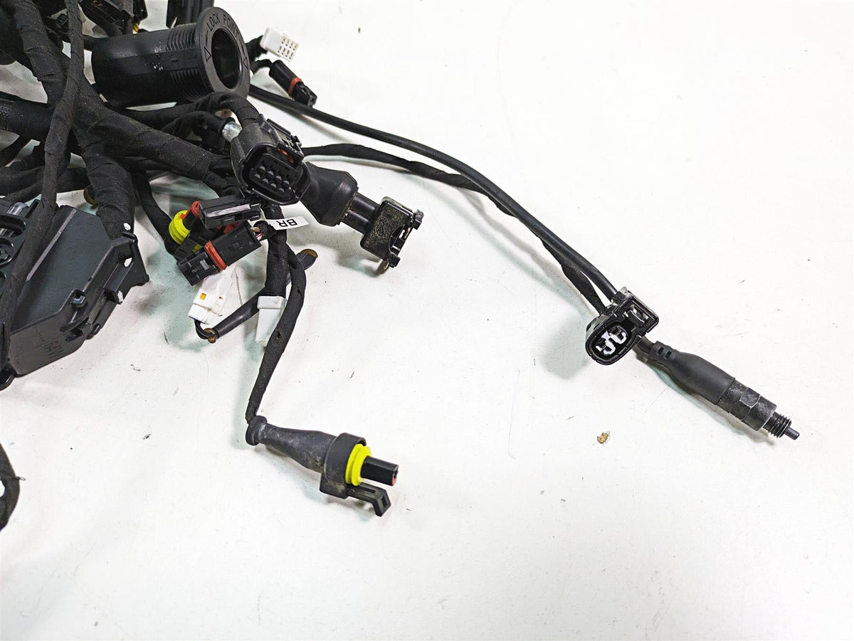 2020 Ducati Scrambler 1100 Sport Pro Wiring Harness Loom -No Cuts 5101F841E {{ shop.shopifyCountryName }} - Mototech271