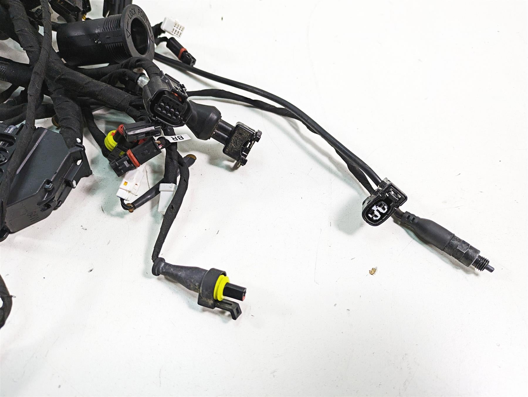 2020 Ducati Scrambler 1100 Sport Pro Wiring Harness Loom -No Cuts 5101F841E {{ shop.shopifyCountryName }} - Mototech271