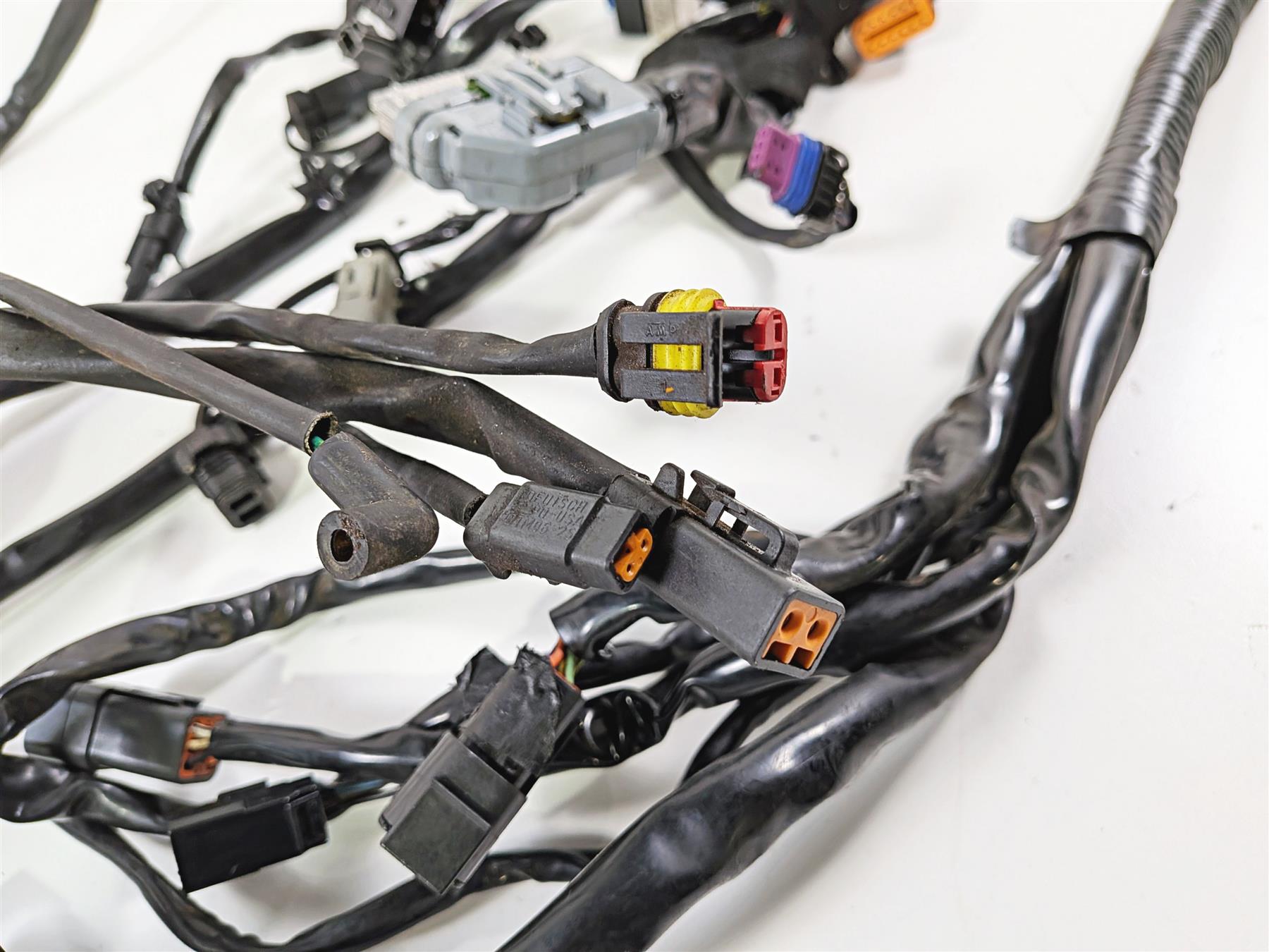 2006 Harley Davidson Dyna FXDBI Street Bob Wiring Harness Loom - Read 69602-06 {{ shop.shopifyCountryName }} - Mototech271