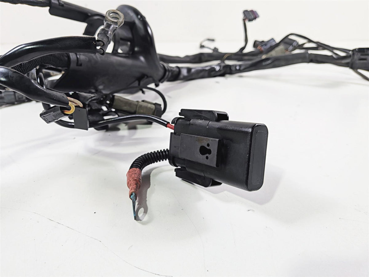 2006 Harley Sportster XL1200 C Main Wiring Harness Loom - Read 70139-06 {{ shop.shopifyCountryName }} - Mototech271