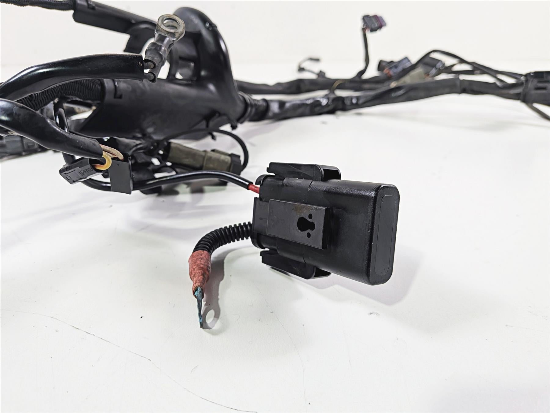 2006 Harley Sportster XL1200 C Main Wiring Harness Loom - Read 70139-06 {{ shop.shopifyCountryName }} - Mototech271