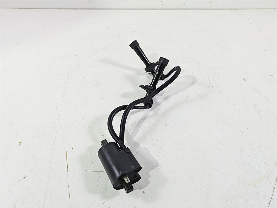 2003 Suzuki GSF1200 Bandit Denso Ignition Coil + Wiring & Plugs 33420-31F00 {{ shop.shopifyCountryName }} - Mototech271