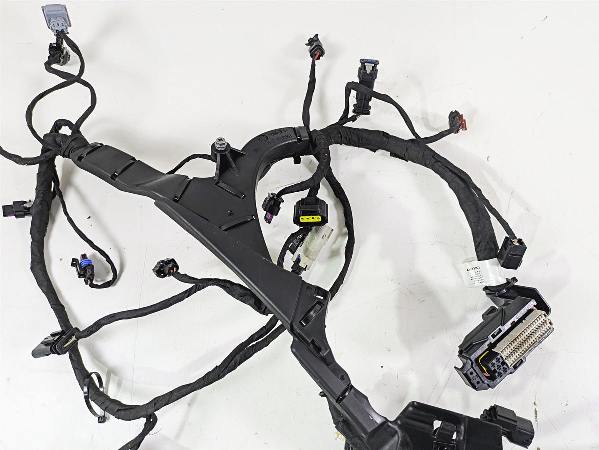 2024 Harley Sportster RH975 S Engine Wiring Harness Loom - Read 69203140 {{ shop.shopifyCountryName }} - Mototech271