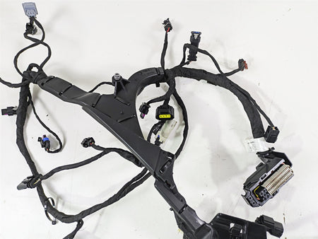 2024 Harley Sportster RH975 S Engine Wiring Harness Loom - Read 69203140 {{ shop.shopifyCountryName }} - Mototech271