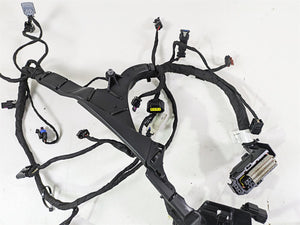 2024 Harley Sportster RH975 S Engine Wiring Harness Loom - Read 69203140