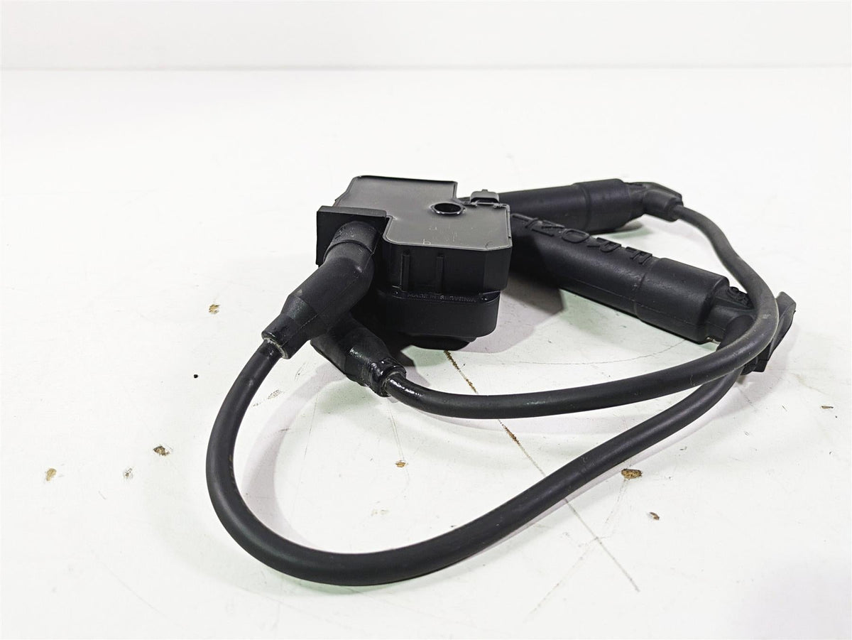 2019 Indian Chieftain Limited Ignition Coil Wires Plugs 4010425 2876049 {{ shop.shopifyCountryName }} - Mototech271