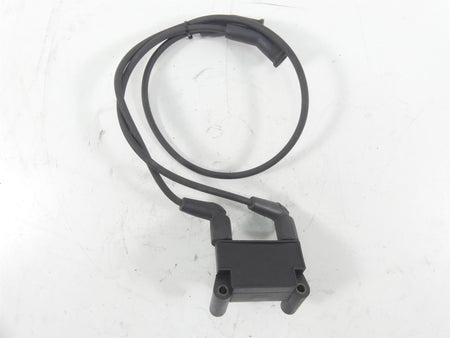 2011 Harley Touring FLTRU Road Glide Delphi Ignition Coil Wires Plugs 31696-07A {{ shop.shopifyCountryName }} - Mototech271