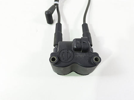 2011 Harley FXDC Dyna Super Glide Delphi Ignition Coil Wires & Plugs 31743-01 {{ shop.shopifyCountryName }} - Mototech271