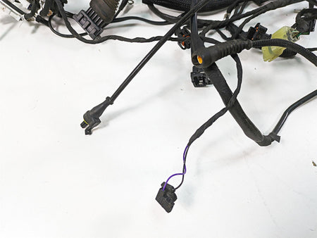 2020 Ducati Hypermotard 950 SP Main Wiring Harness Loom - No Cuts 5101D072D {{ shop.shopifyCountryName }} - Mototech271