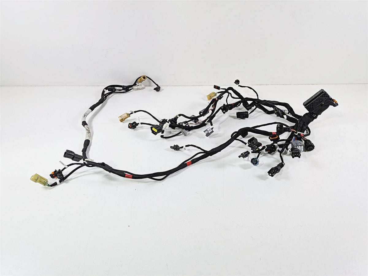 2023 Ducati Streetfighter V4 Engine Wiring Harness Loom - No Cuts 5101-Mototech271