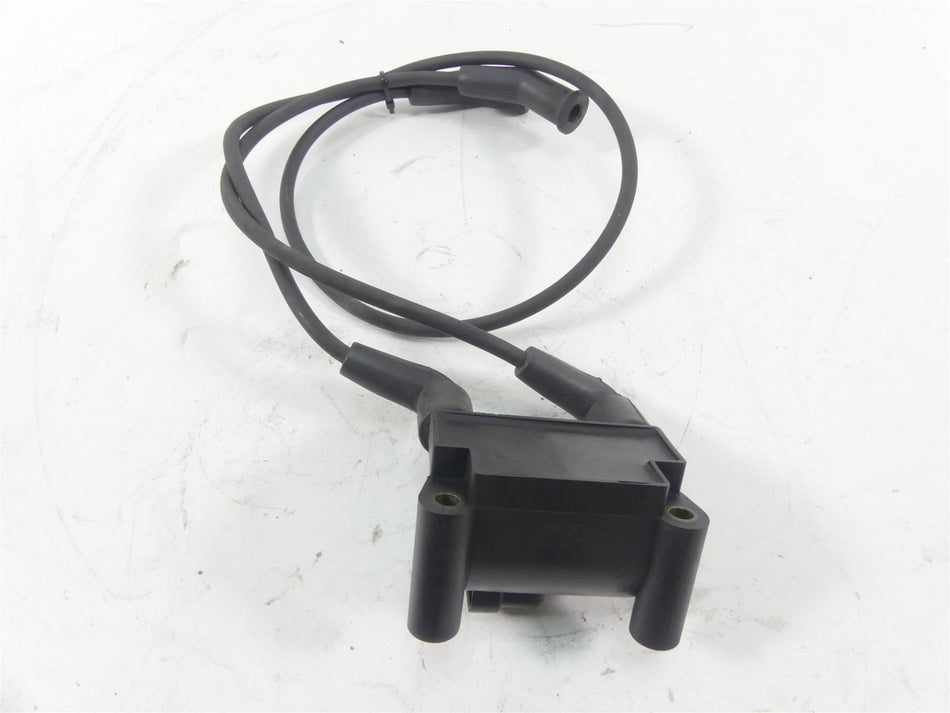 2011 Harley Touring FLTRU Road Glide Delphi Ignition Coil Wires Plugs 31696-07A {{ shop.shopifyCountryName }} - Mototech271