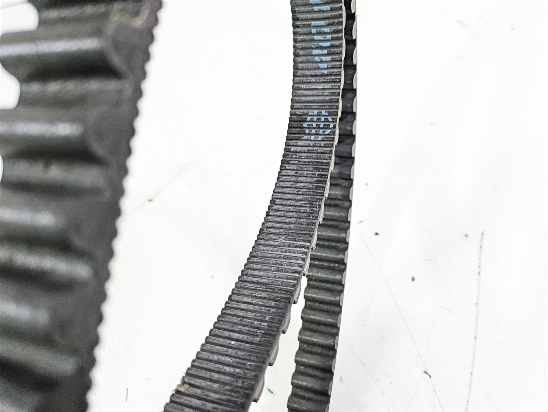 2012 Harley VRSCF Muscle V Rod Rear Drive Belt 151T 1" 40144-07 {{ shop.shopifyCountryName }} - Mototech271