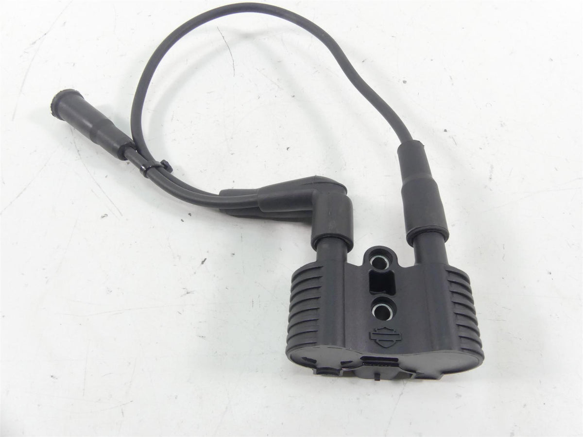 2020 Harley Sportster XL1200 NS Iron Delphi Ignition Coil Wires & Plugs 31656-07 {{ shop.shopifyCountryName }} - Mototech271