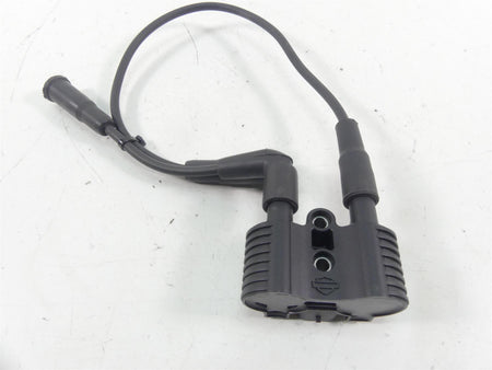 2020 Harley Sportster XL1200 NS Iron Delphi Ignition Coil Wires & Plugs 31656-07 {{ shop.shopifyCountryName }} - Mototech271