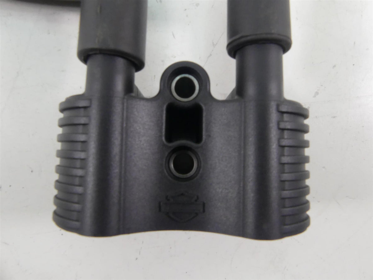 2020 Harley Sportster XL1200 NS Iron Delphi Ignition Coil Wires & Plugs 31656-07 {{ shop.shopifyCountryName }} - Mototech271
