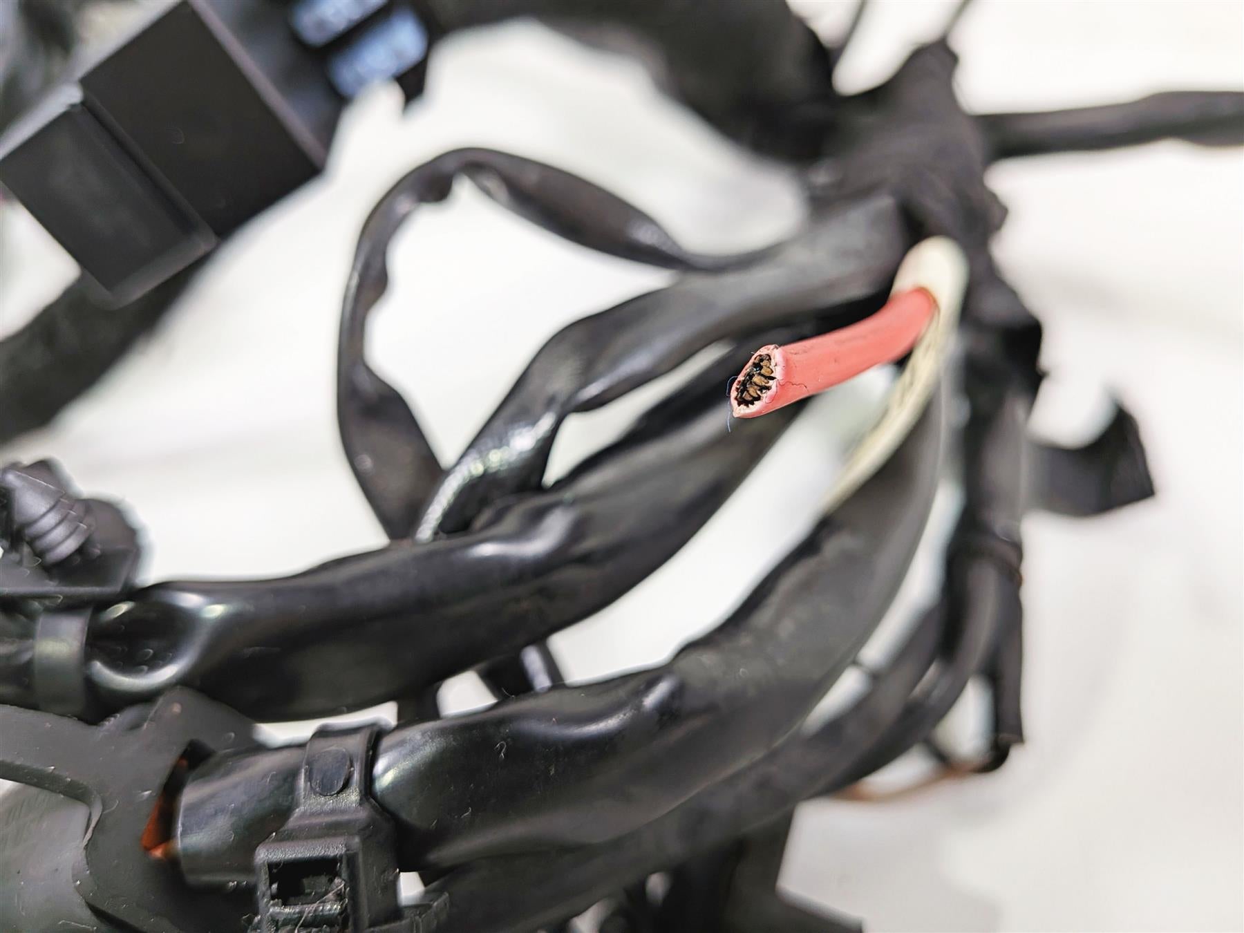 2007 Harley Dyna FXDB Street Bob Main Wiring Harness Loom - Cuts 69602-07 {{ shop.shopifyCountryName }} - Mototech271