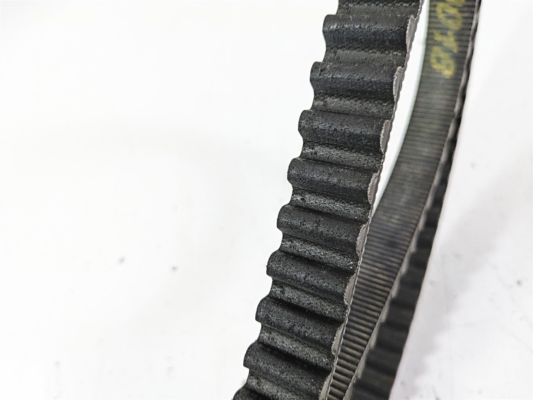 2021 Harley Softail FLSL Slim Rear Drive Belt 134T 24mm 40000018 {{ shop.shopifyCountryName }} - Mototech271