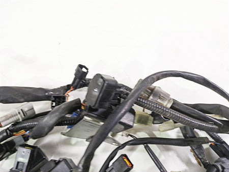 2008 Suzuki GSXR600 Main & Front Wiring Harness Loom No Cuts 36610-37H31 {{ shop.shopifyCountryName }} - Mototech271