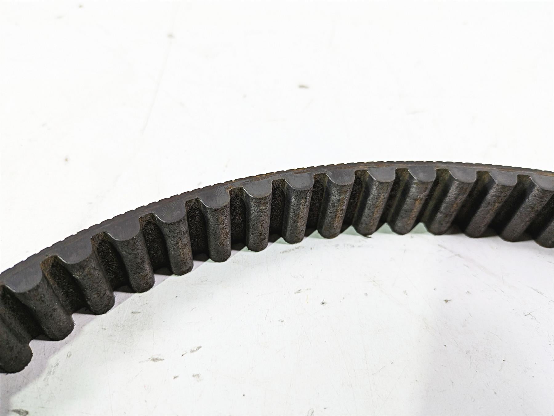 2005 Harley Softail FLSTSCI Heritage Springer Rear Drive Belt 135 T 40307-00B {{ shop.shopifyCountryName }} - Mototech271