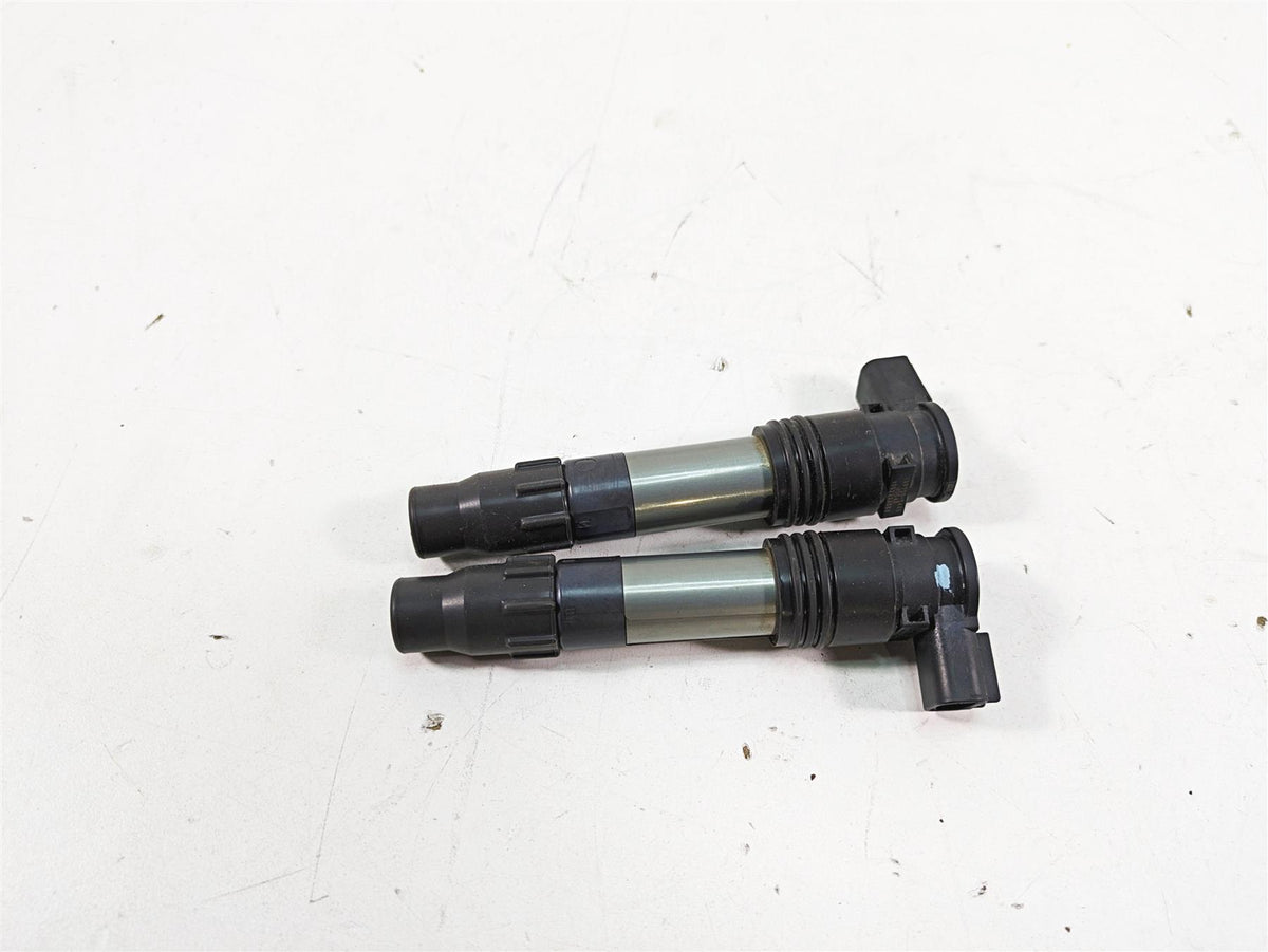 2016 Kawasaki Ninja EX300 Denso Ignition Coil Set 21171-0033 129700-5430 {{ shop.shopifyCountryName }} - Mototech271