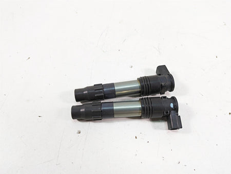 2016 Kawasaki Ninja EX300 Denso Ignition Coil Set 21171-0033 129700-5430 {{ shop.shopifyCountryName }} - Mototech271