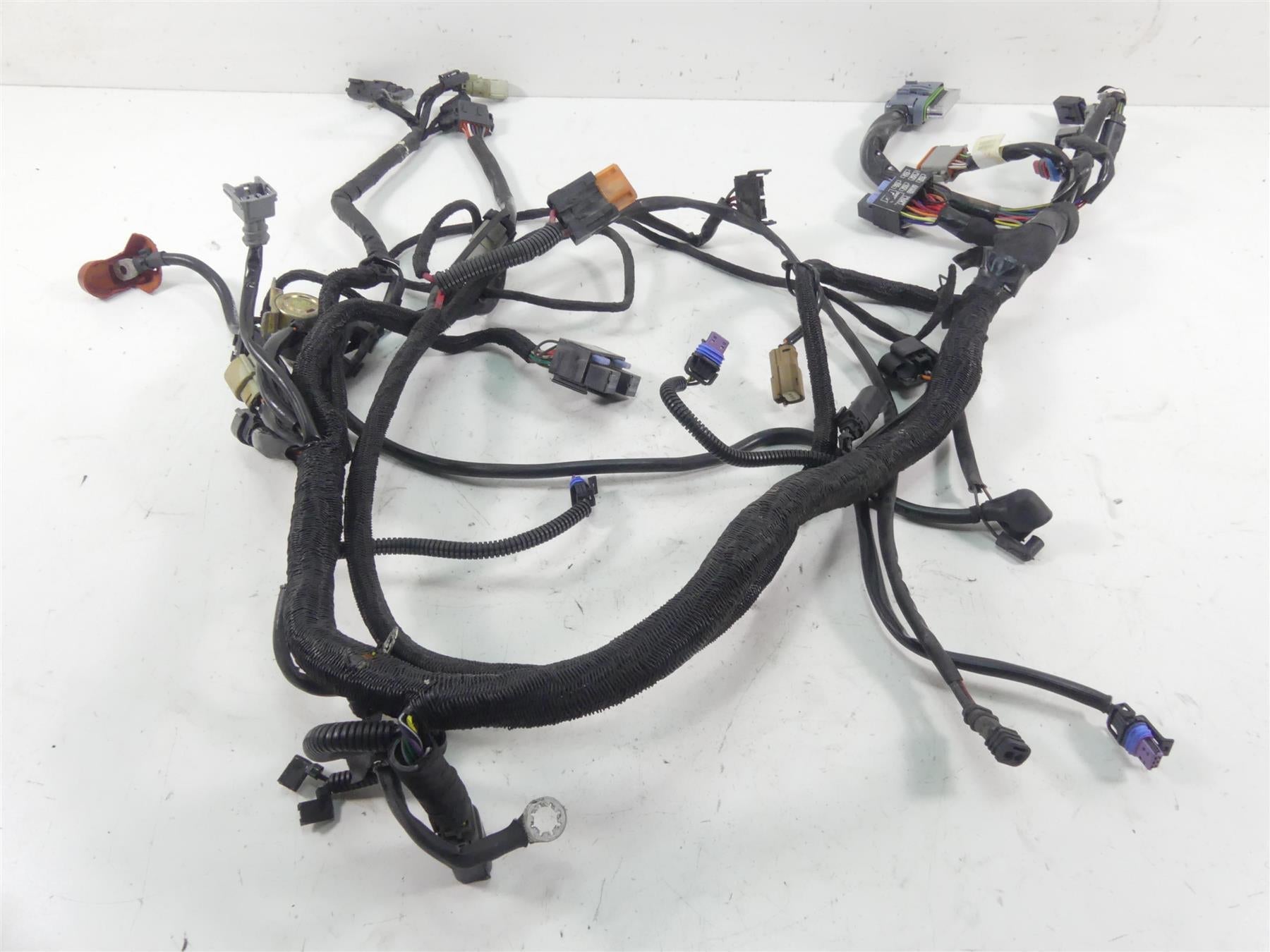 2013 Harley VRSCDX Night Rod Special Non-Abs Wiring Harness Loom 69200094 {{ shop.shopifyCountryName }} - Mototech271